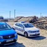 Garda Forestiera Focsani raport februarie 2026 amenzi si confiscari de material lemnos