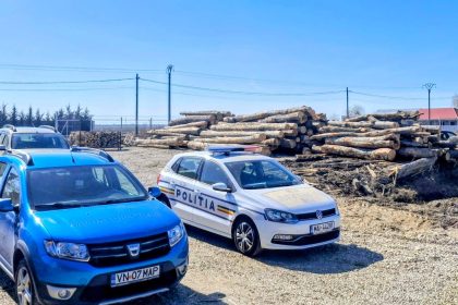 Garda Forestiera Focsani raport februarie 2026 amenzi si confiscari de material lemnos