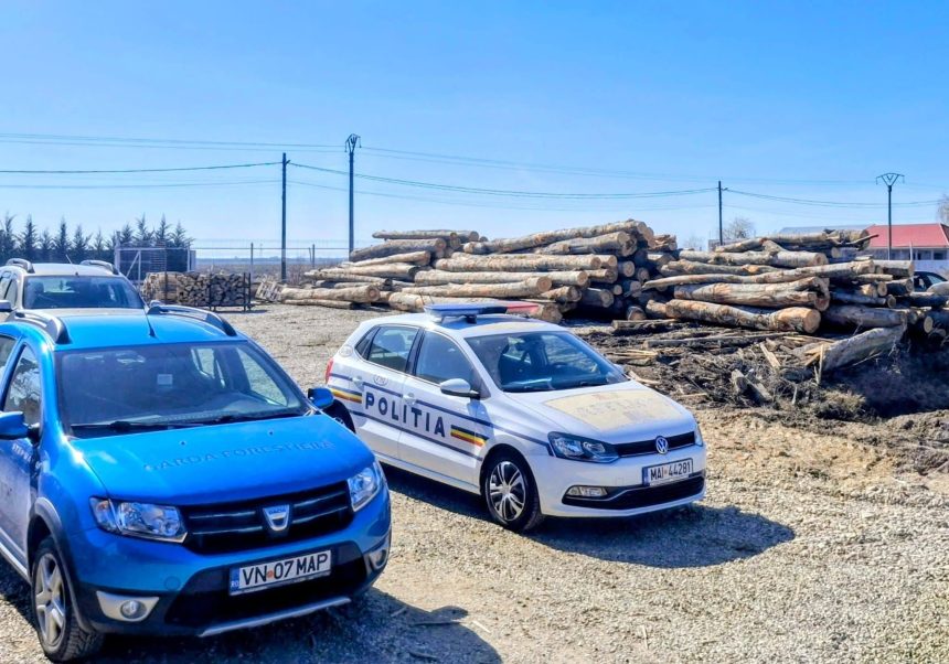 Garda Forestiera Focsani raport februarie 2026 amenzi si confiscari de material lemnos
