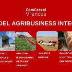 Evolutia si strategia de dezvoltare a Comcereal Vrancea de la 2026 catre viitor