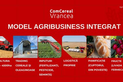 Evolutia si strategia de dezvoltare a Comcereal Vrancea de la 2026 catre viitor