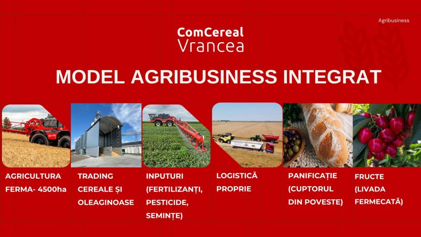Evolutia si strategia de dezvoltare a Comcereal Vrancea de la 2026 catre viitor