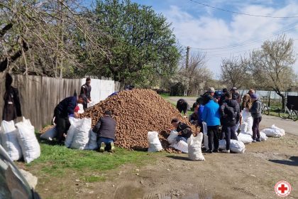 FOTO 247 de tone de cartofi au fost donate persoanelor vulnerabile cu ajutorul Crucii Rosii Vrancea