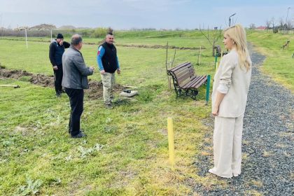 FOTO Aciune de impadurire la Suraia sute de puieti plantati in Lunca Siretului