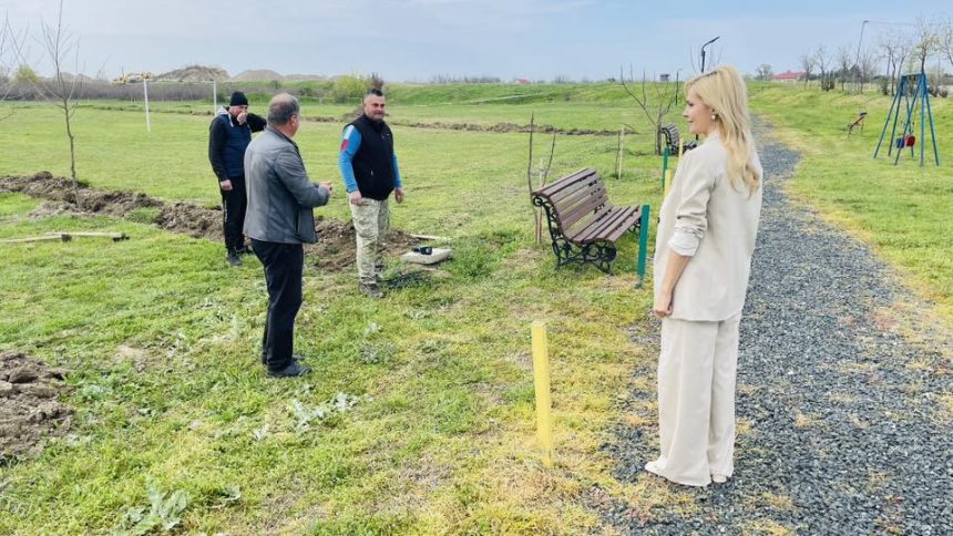 FOTO Aciune de impadurire la Suraia sute de puieti plantati in Lunca Siretului
