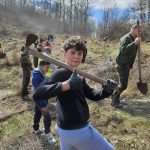 FOTO Padurea intre splendoare si fragilitate plantare de copaci la Chiojdeni