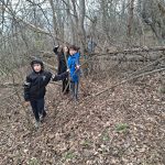 FOTO Verde activitate sport sanatos si sanatate la Scoala Bordesti