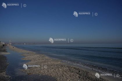 Licitatia publica pentru 102 sectoare de plaja in statiunile de pe Litoral