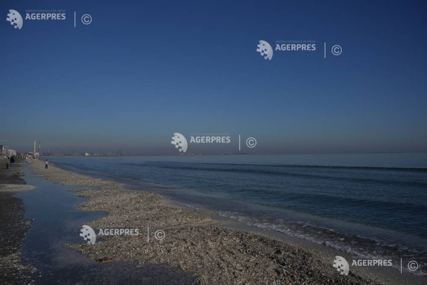 Licitatia publica pentru 102 sectoare de plaja in statiunile de pe Litoral