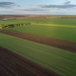 O ferma de 1500 ha din Vrancea este disponibila la vanzare pentru 58 milioane de euro