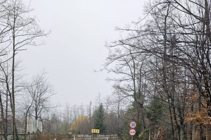 Recensamant de trafic pe drumurile judetene din Vrancea