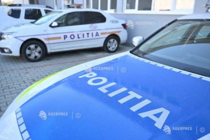 cinci persoane surprinse in flagrant in timp ce furau flori in valoare de aproximativ 20000 de euro in capitala