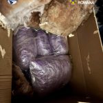 Trafic de cocaina si canabis in Adjud trei tineri sunt cercetati