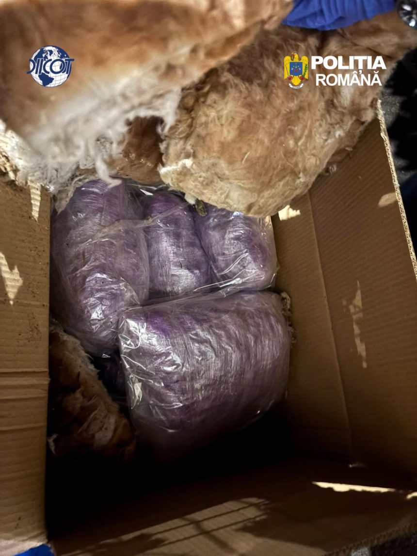 Trafic de cocaina si canabis in Adjud trei tineri sunt cercetati