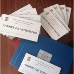 A inceput avizarea carnetele de viticultor