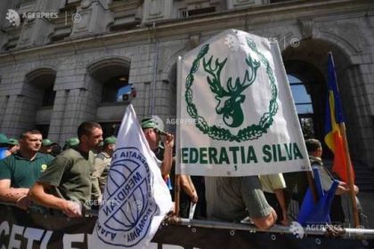 Federatia Silva cere rectificarea proiectului de reorganizare a subunitatilor Romsilva