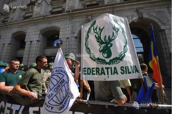 Federatia Silva cere rectificarea proiectului de reorganizare a subunitatilor Romsilva