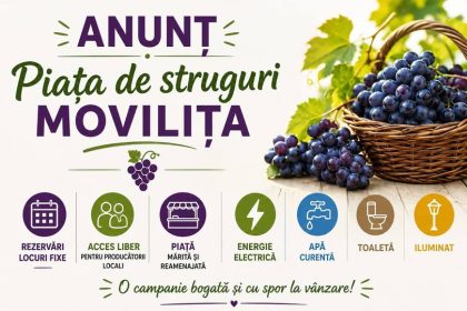 rezervari pentru piata strugurilor din movilita producatorii locali din comuna beneficiaza de acces gratuit
