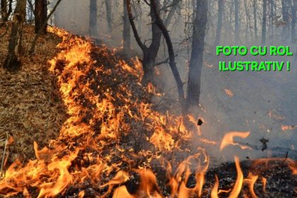ultim ora incendiu de padure pe aproape 10 hectare la nereju