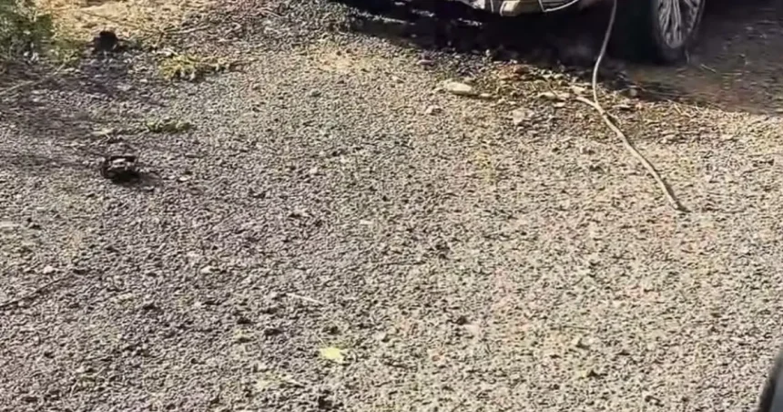 Accident rutier grav în zona Adjudului. O autocisternă și un autoturism au fost implicate