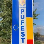 Pufești: Câinii comunitari ar putea trece în grija ADI Focșani-Golești