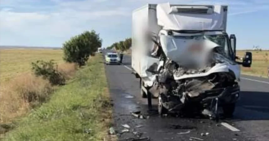Vrâncean accidentat mortal pe E85 în timp ce se afla lângă mașină
